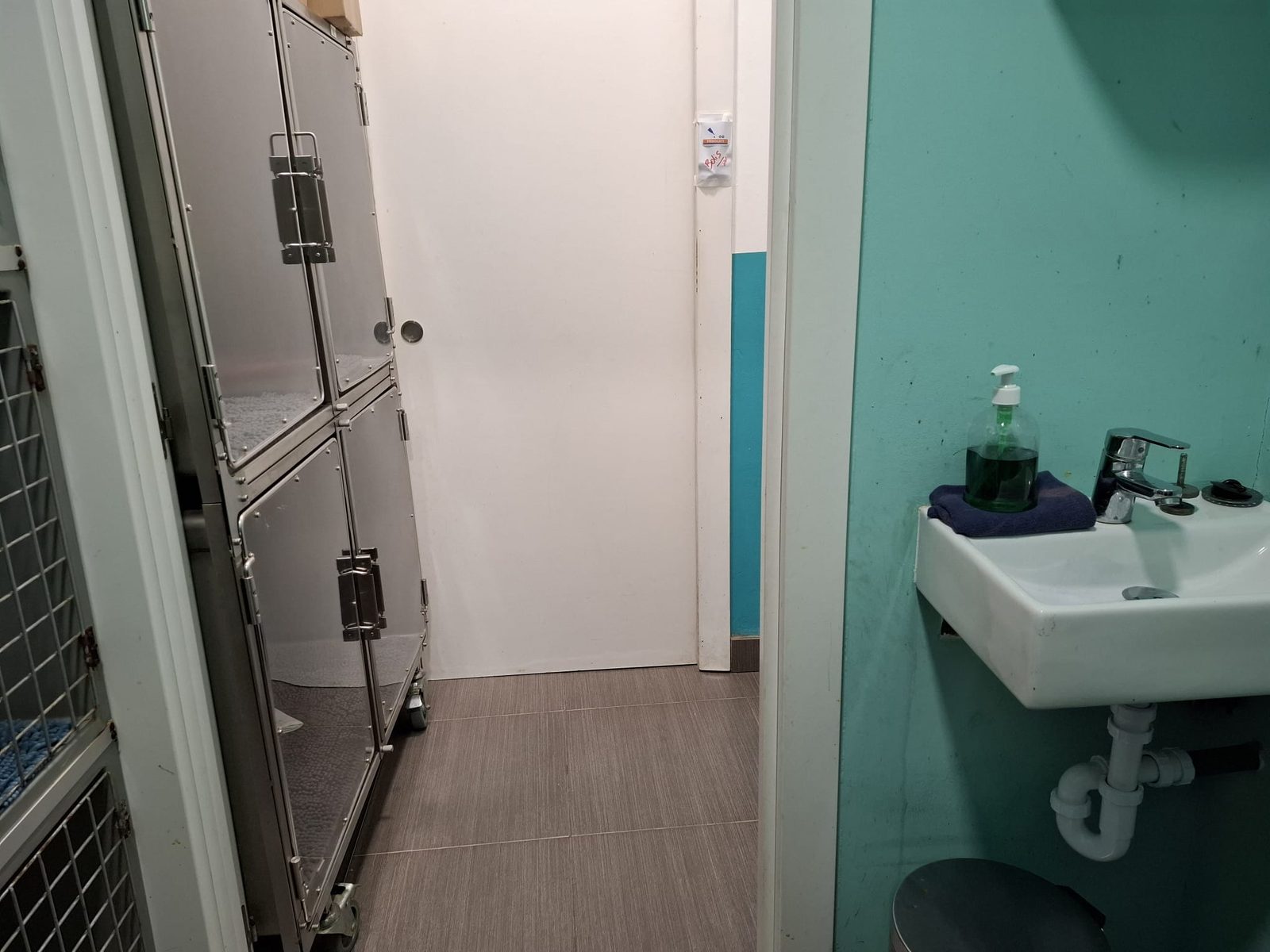 Zona de hospitalización de la clínica Bau-Bau