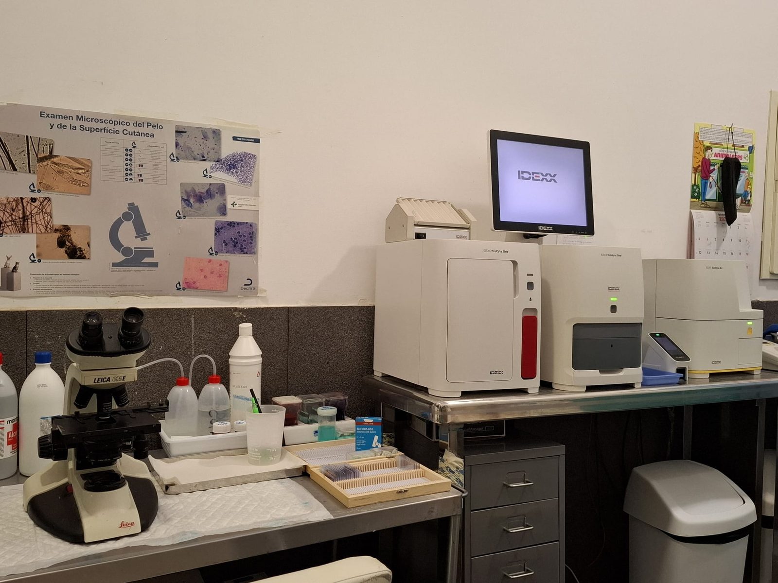 Laboratorio de analíticas de la clínica Bau-Bau