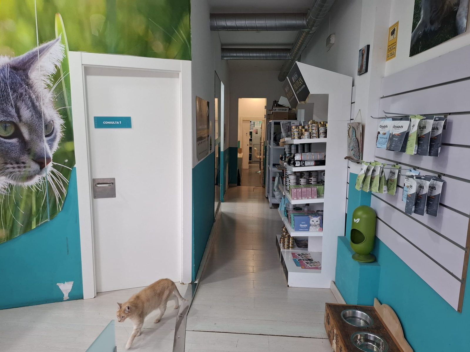 Pasillo y tienda de la clínica Bau-Bau