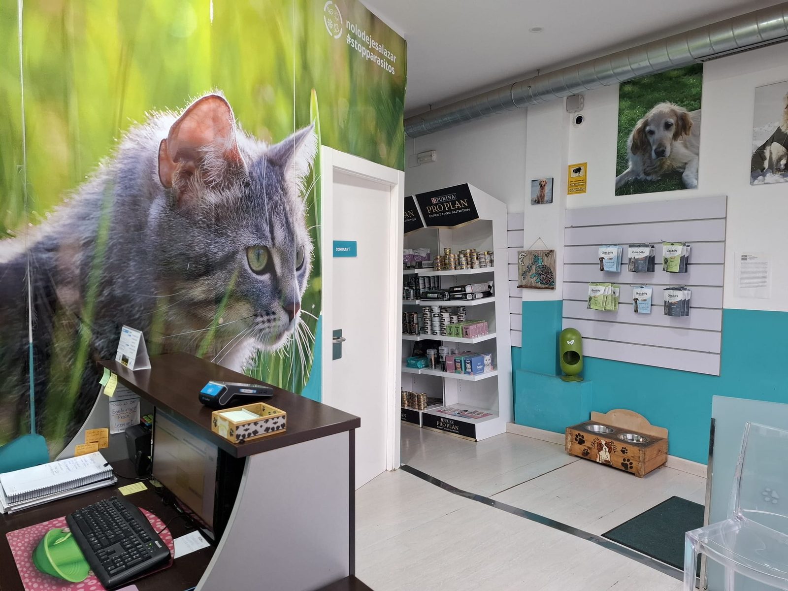Recepción de la clínica Bau-Bau, con mural decorativo